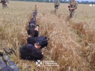Ой на кордоні та й «женці» жнуть — десятьох ухилянтів спіймали на пшеничному полі біля Угорщини    