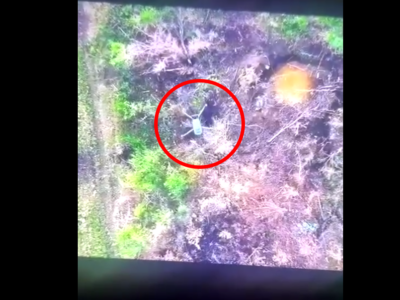 Гвардійській дрон приземлив російський коптер  