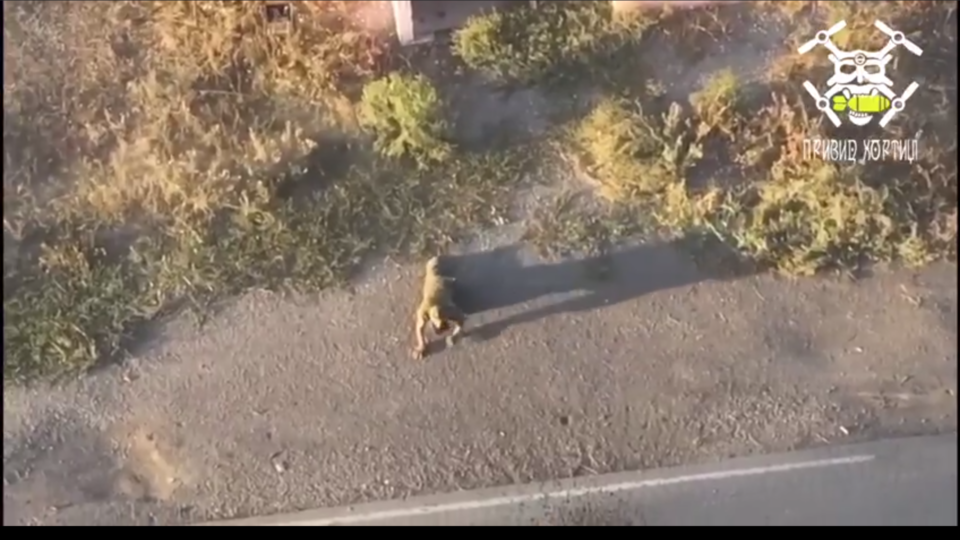 «Воюють дуже примітивною і дурною тактикою» — на північ від Куп’янська ворожа піхота продовжує «досліджувати» дно Осколу  