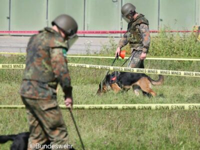 EUMAM UA готують службових собак та кінологів для роботи в Україні  