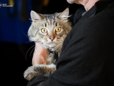 44 людини та котик: Черкащина зустріла черговий евакуаційний потяг  