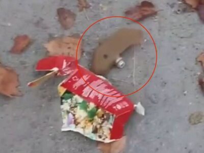 Мінування Херсонщини: ворог скидає «Лєпєсткі» з дронів у житлові райони  