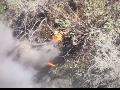 «Виживе хробак? Ні, він конає» — «Птахи Мадяра» зняли слешер про окупантів на ставку  