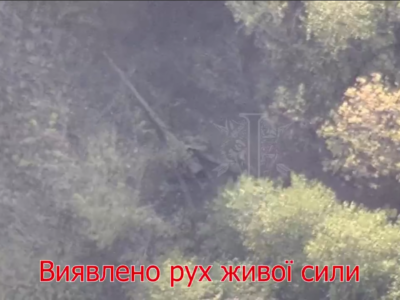 Природа на Курщині очистилася від 2 далекобійних гаубиць ворога  