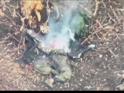 «Невдобно получилося, розмагнітило хробака» — чергова порція мертвих окупантів від «Птахів Мадяра»  