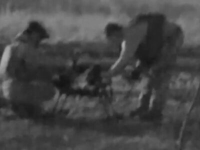 Сімнадцять кацапів, кілька автівок — і все це «Фенікс» перетворив на попіл  