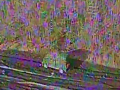 10 поранених, 9 знищених — бійці з «Помсти» вивели зі строю близько двох десятків окупантів на Харківщині  