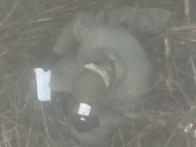 «Своїх усе-таки кидають»: дрон спецпризначенців захопив у полон покинутого військами рф росіянина  