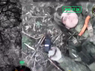 Смерть у кущах — наші дронарі влаштували полювання на росіян-«загубляшок»  