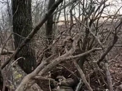 15 кілограмів вибухівки — і бліндаж з окупантами зник: успішна операція ССО на Донеччині  