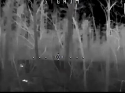 «Смерть з-під крони»: як українські дронарі стирають ворога з лиця землі в лісових лабіринтах  