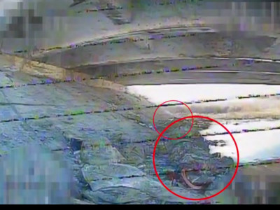 Міст-пастка — росіяни намагаються сховатися у руїнах мосту, а їх там нищать  