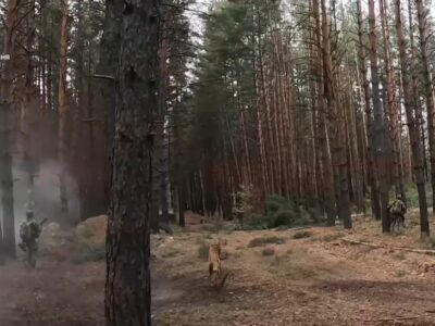 «Виносьте барана!» ― зухвалий штурм спецпризначенців ГУР у лісі на Харківщині  