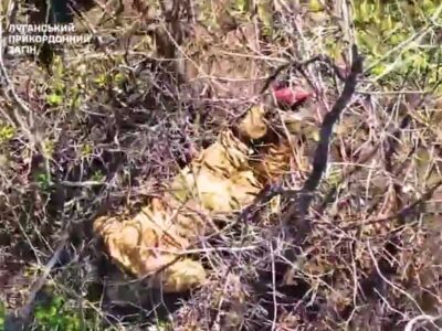 Мінус 34 окупанти — бригада «Помста» не дає росіянам накопичуватися на Краматорському напрямку  