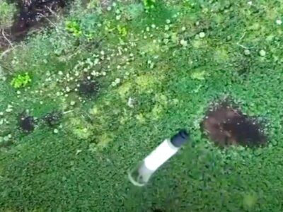 «Фенікс» залетів до ворожих позицій та знищив десяток окупантів  