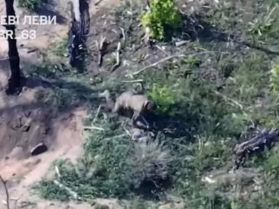 Виповзали навкарачки: українські дрони розбомбили укриття ворожих штурмовиків, що готували атаку  