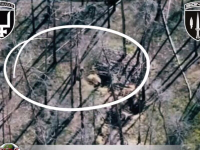 Запустив свій дрон — а «зловив» український: фатальний обмін «люб’язностями» для російського оператора БПЛА  