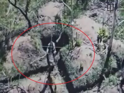 ГУР оприлюднило видовищні кадри ліквідації загарбників, яку провели підрозділи активних дій  