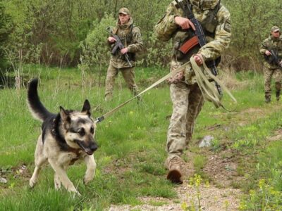 Чотирилапий прикордонник допоміг затримати у Карпатах псевдотуристів з Одещини  