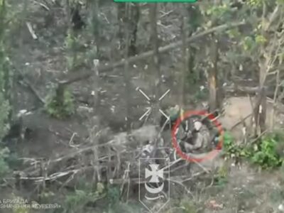 Думали, що гілки врятують: українські дрони знищують ілюзії окупантів про безпечну «зеленку»  