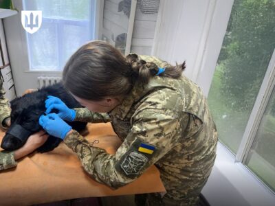 Вступна кампанія-2025: як стати військовим ветеринаром у НУБіП  