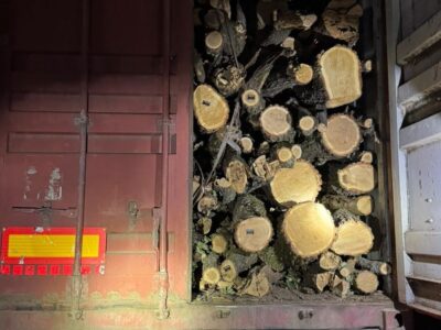 Водій фури сховав ухилянтів серед дерев’яних колод