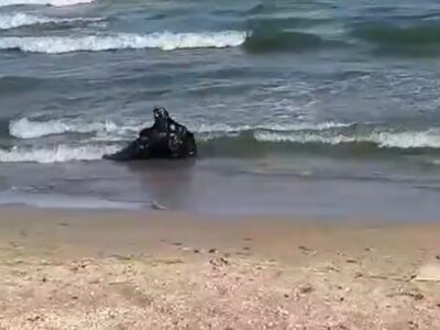 Військові моряки знищили морську міну на узбережжі Одещини  