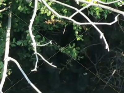 Голий у болоті: окупант, рятуючись від спеки, здав позицію на Лиманському напрямку  