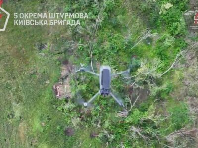 Підлетів і впав — сітка здолала російський дрон  
