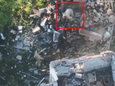 «Гарячий» прийом — окупанти вилізли зі схованки й одразу зустрілись з дроном  