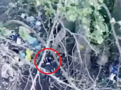 Жадібний окупант хотів затрофеїти український дрон, однак трохи прорахувався  