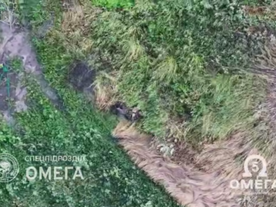 Не ховаються і гинуть — удари дронів по російських штурмовиках  