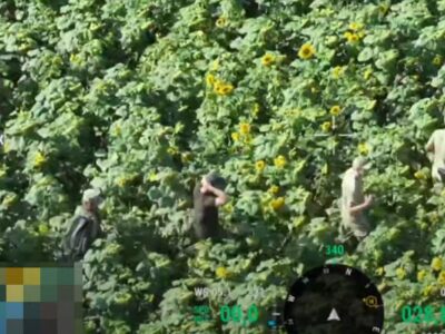Сюрприз у соняшниках: прикордонники затримали порушників кордону біля Молдови