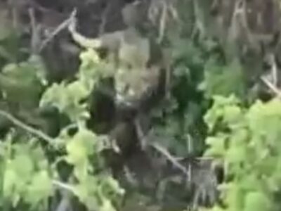 Бійці «Прайм» знищили групу окупантів під час облаштування фортифікаційних споруд  