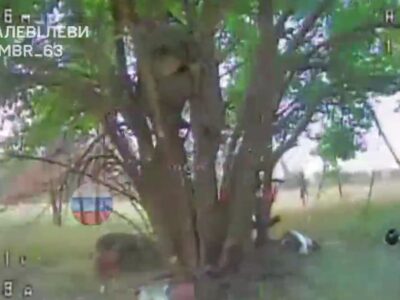 Мавпяча тактика — росіяни залазять на дерева, щоб сховатися від дронів  