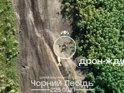 «За наш $1 — палимо $56 росіянам»: 225 ОШП ефективно нейтралізує ворожі дрони-ждуни  