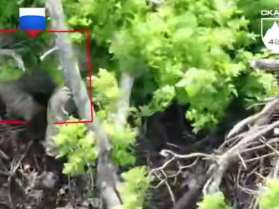 «Відірвалися по повній» — пілоти 425 ОШП влаштували «сафарі» на російських штурмовиків  