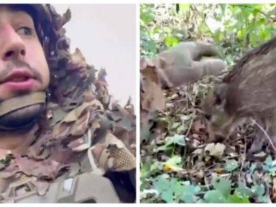 Тримали посадку разом — бійцю бригади «Помста» надійшло вкрай несподіване «підкріплення»  