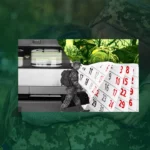 Відпустка за сімейними обставинами: в яких випадках надається