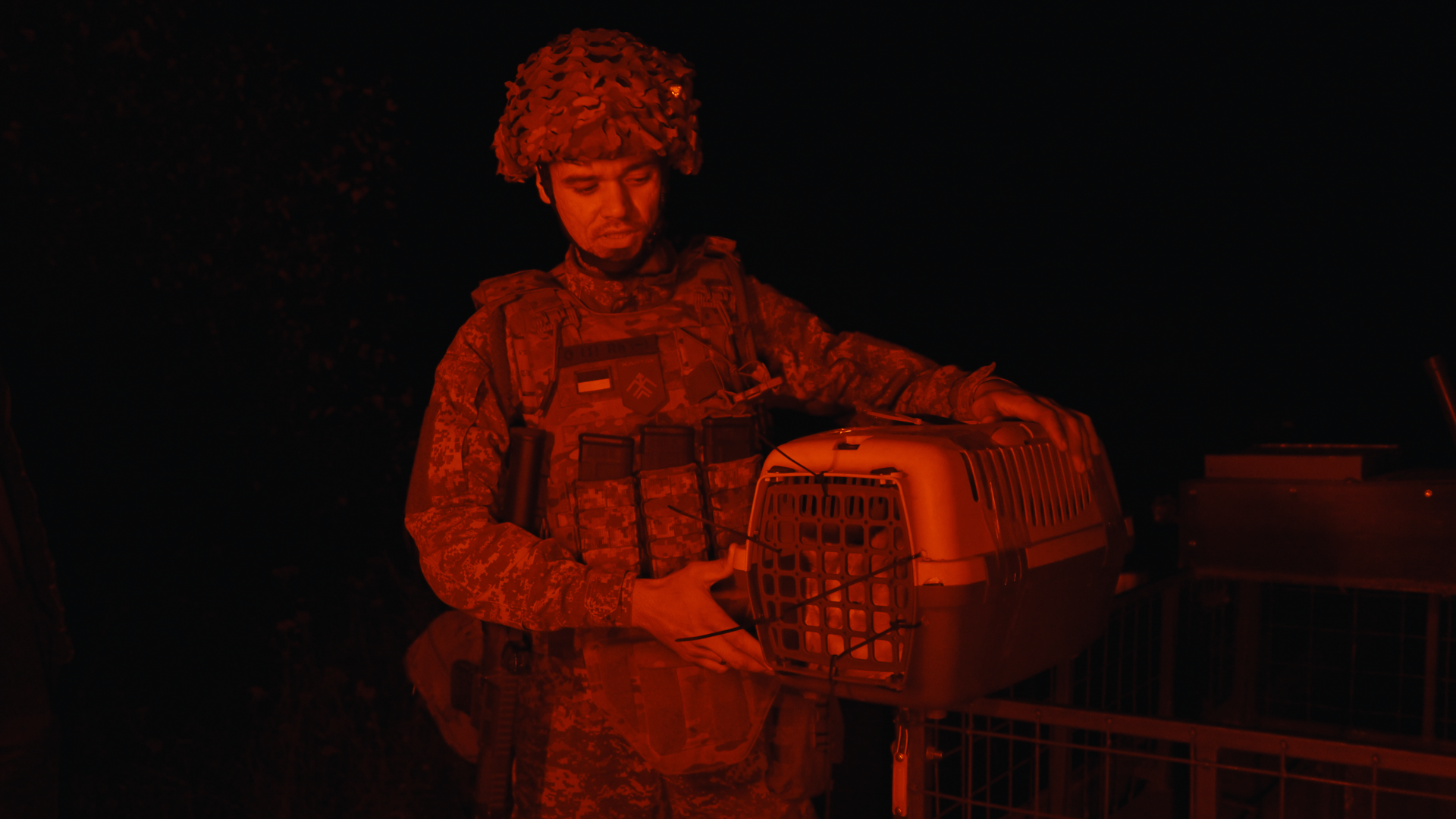 Кіт «Прапор» виїхав з передової на дроні бригади «Хартія»: місія тривали три години