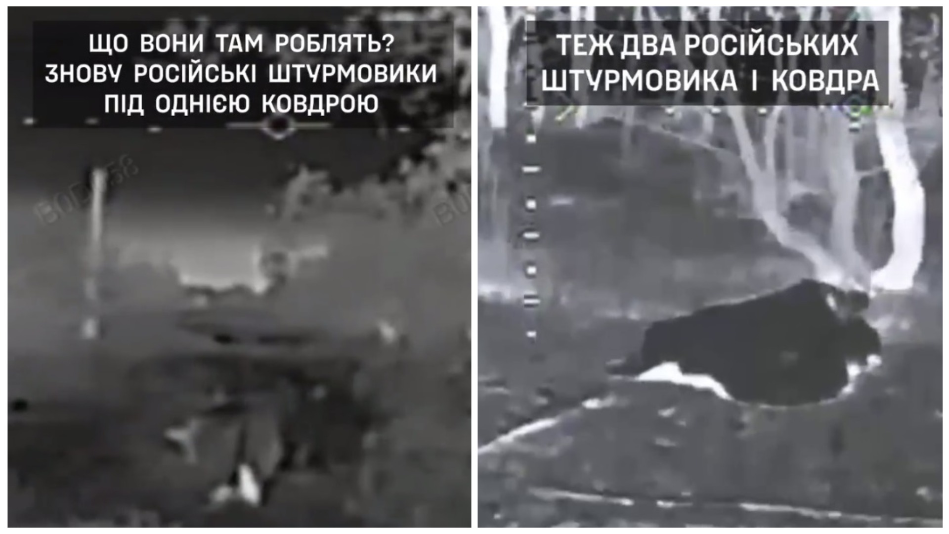 Третій не зайвий — дрон ЗСУ «потурбував» двох окупантів, які усамітнилися під однією ковдрою
