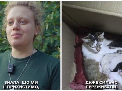 Бійці «Хартії» прихистили вагітну кішку та допомогли виходити її малюків  