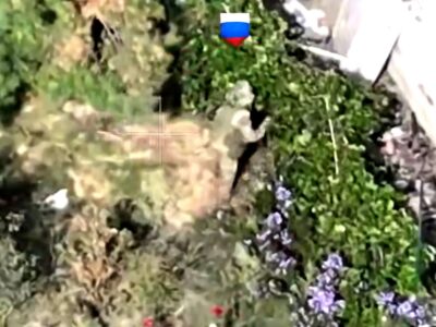 Голодні окупанти об’їдають дерева та кущі по зруйнованих селах  