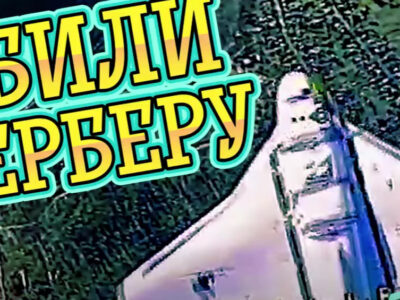 FPV проти «Гербери»: український дрон-камікадзе збив російський ударний безпілотник  