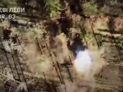 Мисливці стали здобиччю: українські дронарі знищили «гніздо» ворожих пілотів БПЛА  