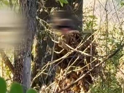 «Відкрийся — і помри»: спецпризначенці застосували тактику ізоляції та знищили ворога  