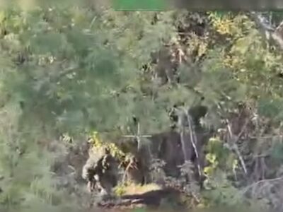 «Прийшов — вмер»: як виглядає типовий сценарій для окупантів, які штурмують Куп’янськ  
