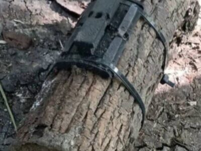 Міни в дровах: росіяни полюють за цивільними на півночі Харківщини