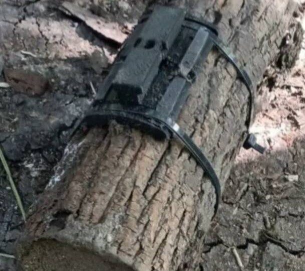 Міни в дровах: росіяни полюють за цивільними на півночі Харківщини  