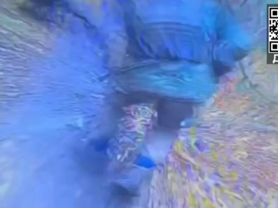 Єгері 71-ї бригади вполювали ворожу піхоту в лісовій хащі  